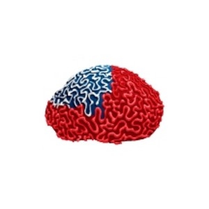 Red White and Blue Brain Coral